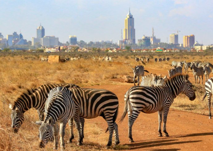 Nairobi National Park