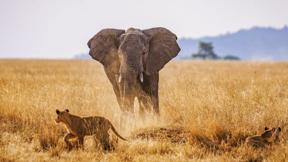 Serengeti National Park