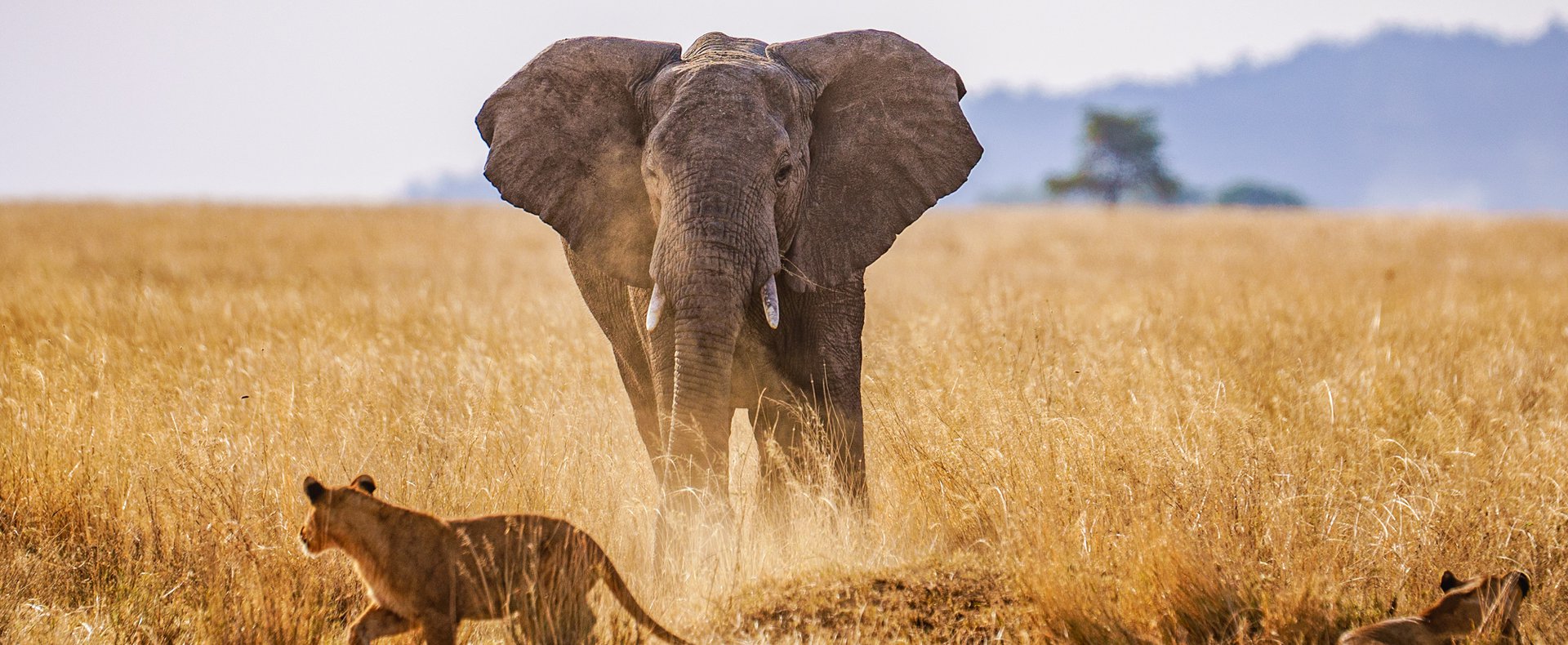 Serengeti National Park