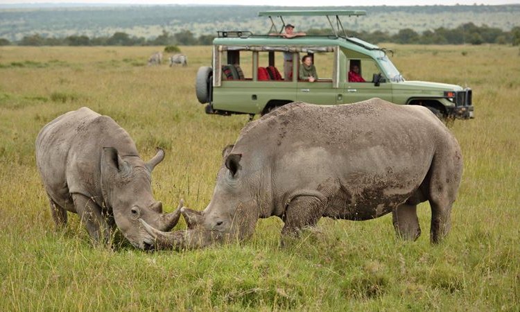 Ol Pejeta Wildlife Sanctuary