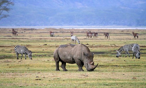 Ngorongoro Conservation Area