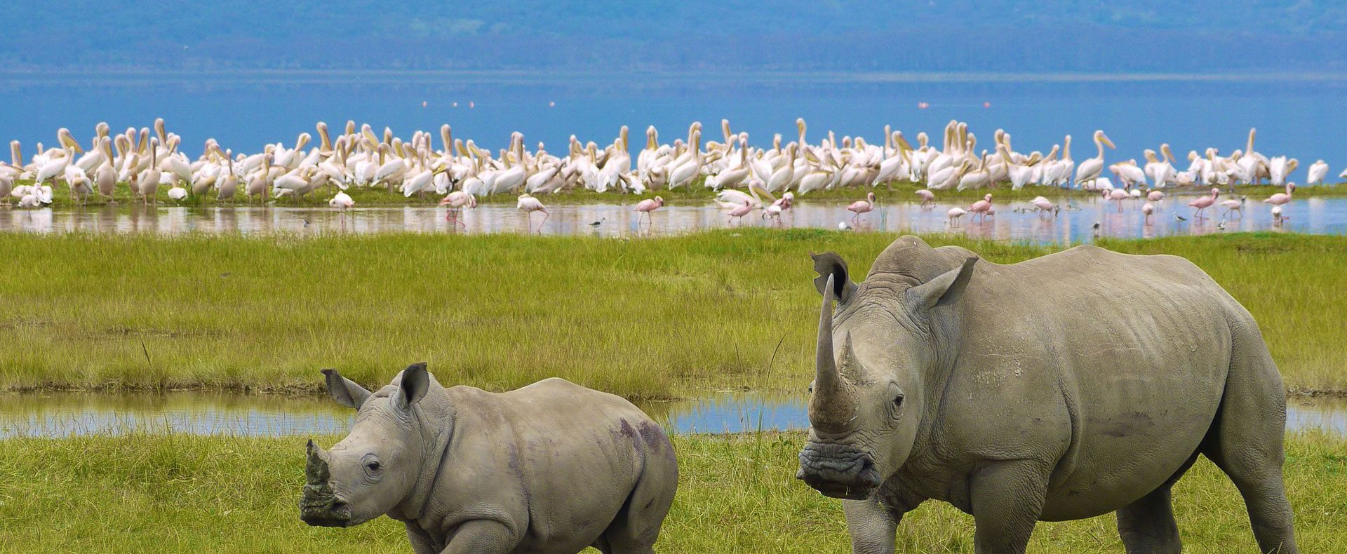 Lake Nakuru National Park