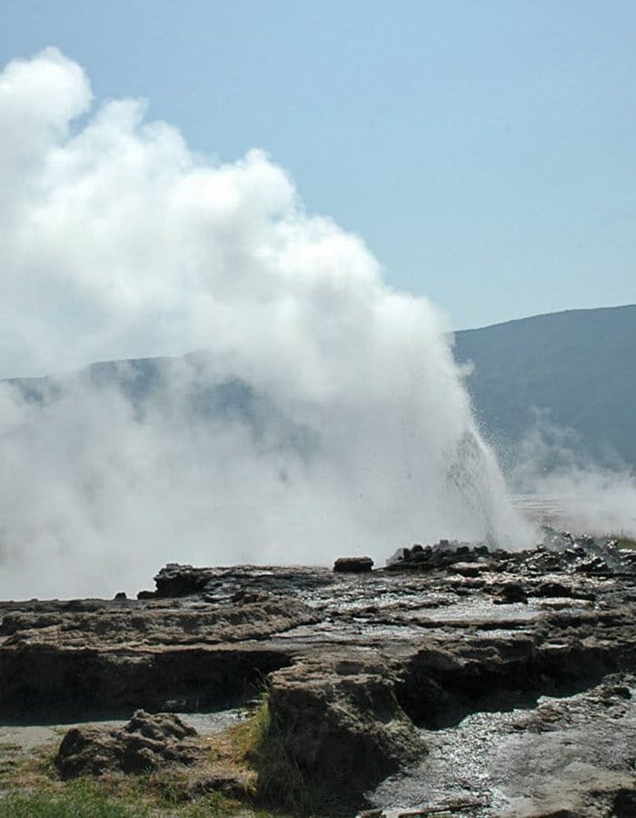 Bogoria