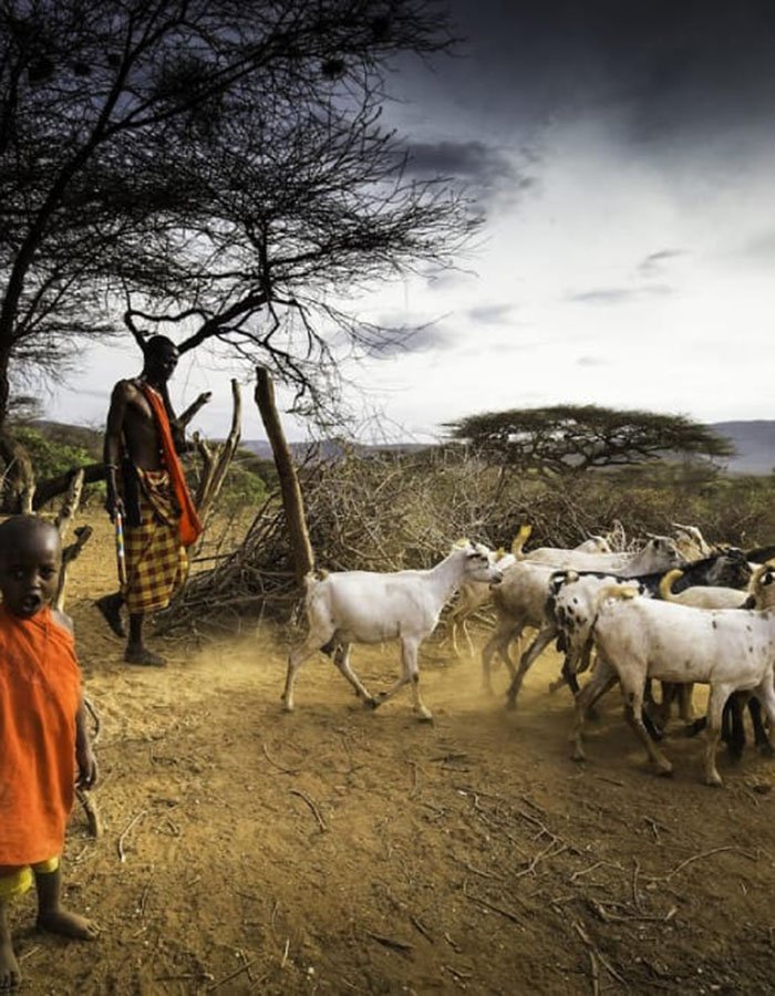 Maasai Mara