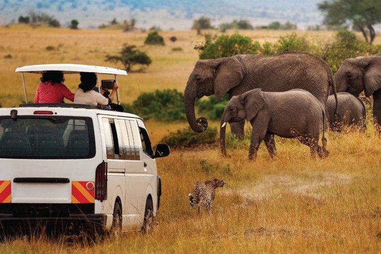 6 DAYS MASAI MARA, LAKE NAKURU, AMBOSELI NATIONAL PARK