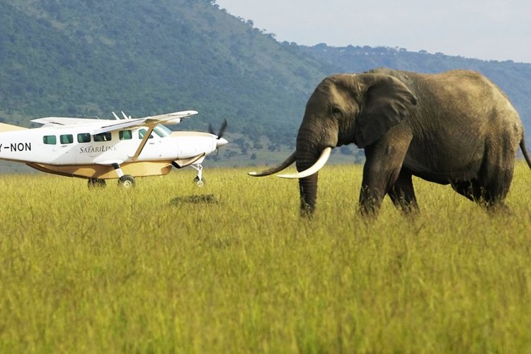 2 DAYS MAASAI MARA NATIONAL PARK BY AIR