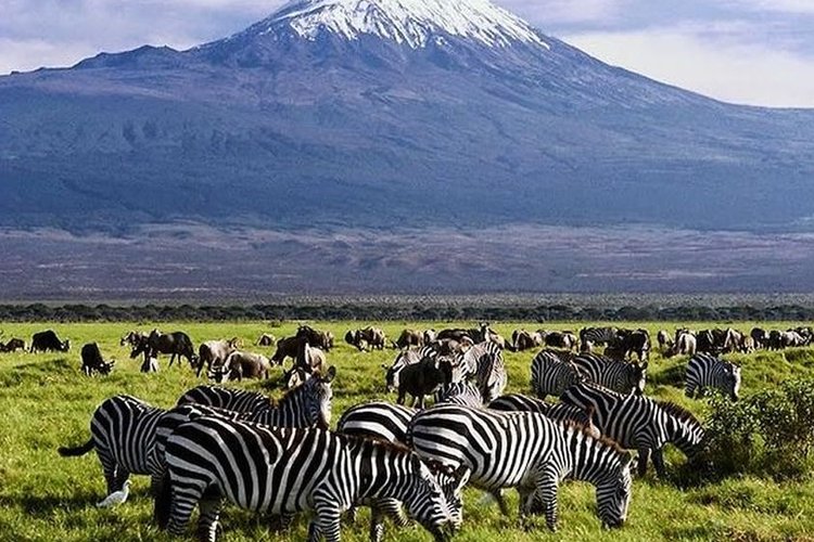 7 DAYS TSAVO EAST – AMBOSELI – LAKE NAKURU – MASAI MARA SAFARI