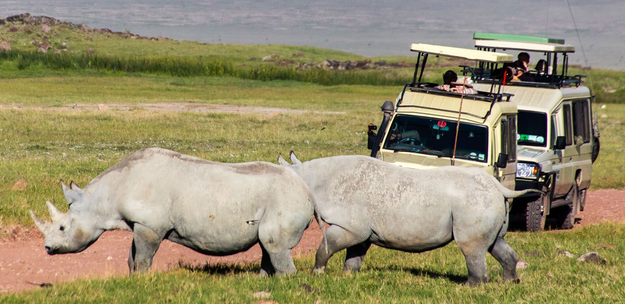 3 DAYS TANZANIA SAFARI – NGORONGORO