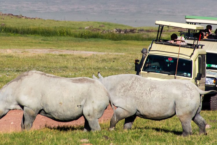 3 DAYS TANZANIA SAFARI – NGORONGORO