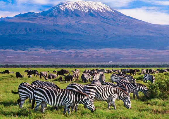 3 DAYS TSAVO EAST AND AMBOSELI (KILIMANJARO SAFARIS)