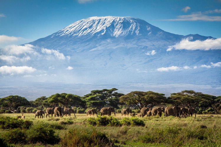 3 DAYS TSAVO EAST AND AMBOSELI (KILIMANJARO SAFARIS)