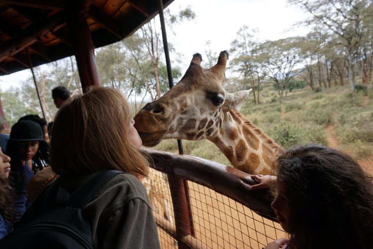 KAREN BLIXEN MUSEUM, KAZURI BEAD CENTRE & GIRAFFE CENTRE TOUR