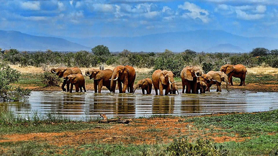 6 DAYS LAKE MANYARA,  NGORONGORO, SERENGETI SAFARI