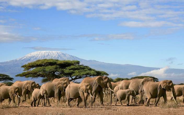 2 DAYS AMBOSELI SAFARI