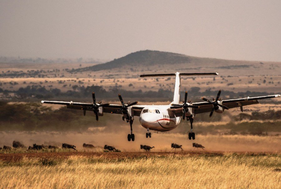 2 DAYS MAASAI MARA NATIONAL PARK BY AIR