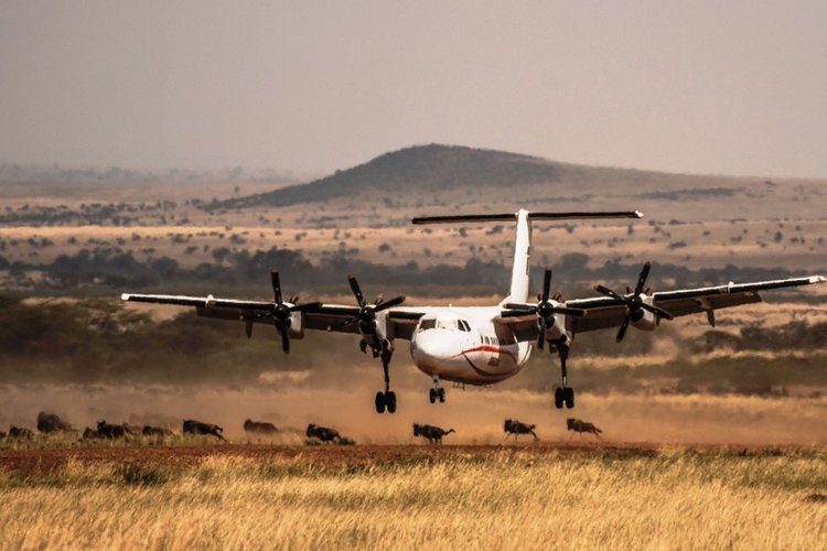 2 DAYS MAASAI MARA NATIONAL PARK BY AIR