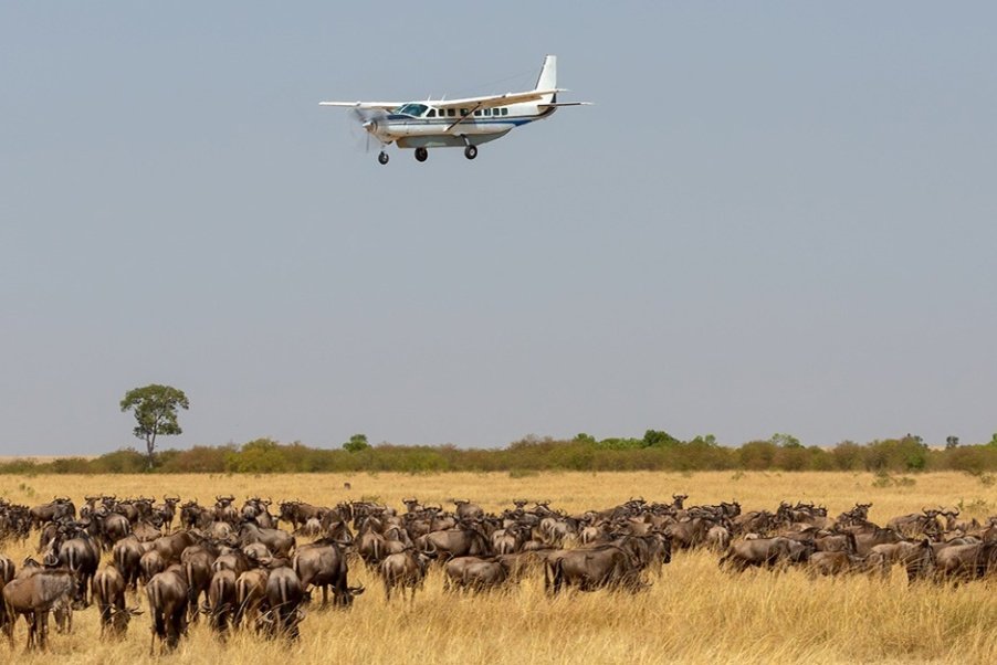 2 DAYS MAASAI MARA NATIONAL PARK BY AIR