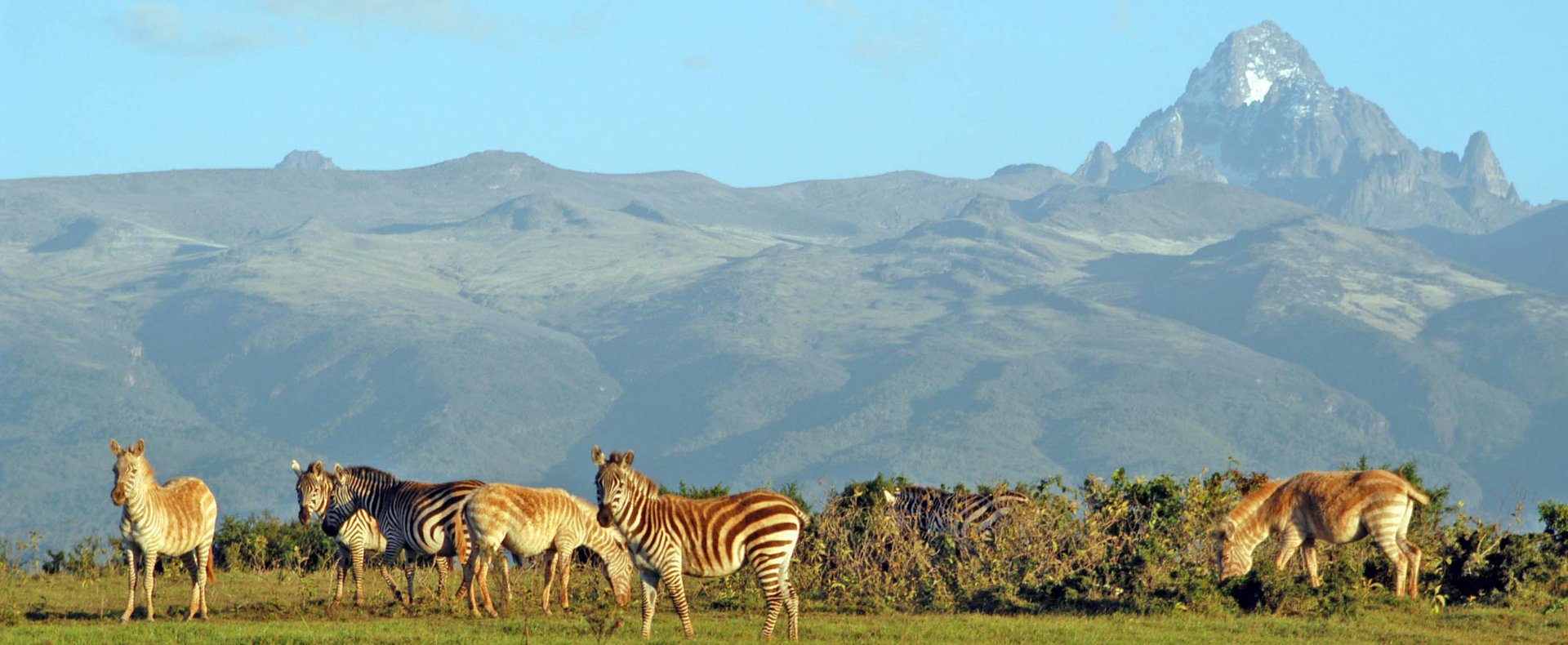 4 DAYS NAIROBI, MOUNT KENYA AND SAMBURU GAME RESERVE SAFARI