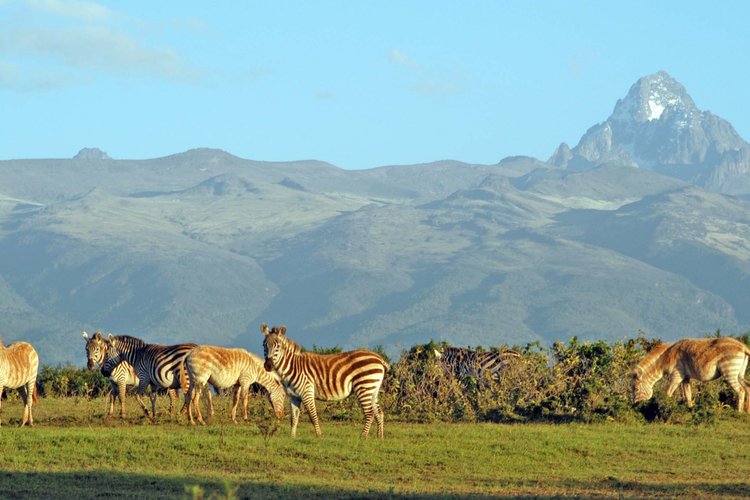 4 DAYS NAIROBI, MOUNT KENYA AND SAMBURU GAME RESERVE SAFARI