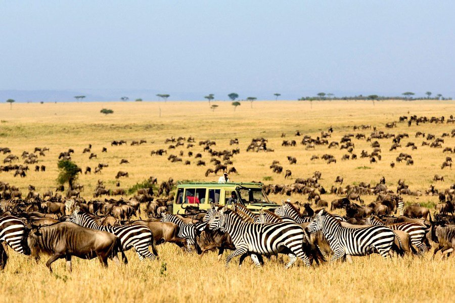 5 DAY TARANGIRE, NGORONGORO – SERENGETI (MID-RANGE) SAFARI