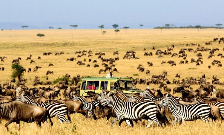 7 DAYS LAKE MANYARA,  NGORONGORO, SERENGETI SAFARI