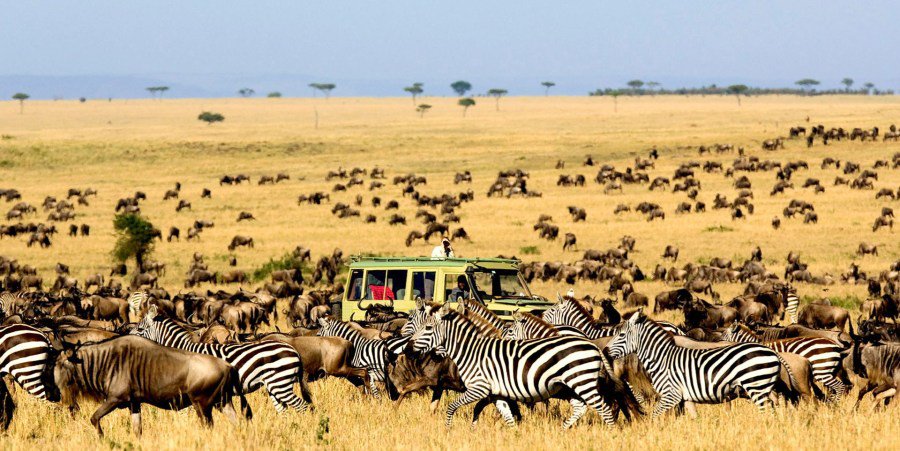 5 DAYS LAKE MANYARA,  NGORONGORO, SERENGETI SAFARI