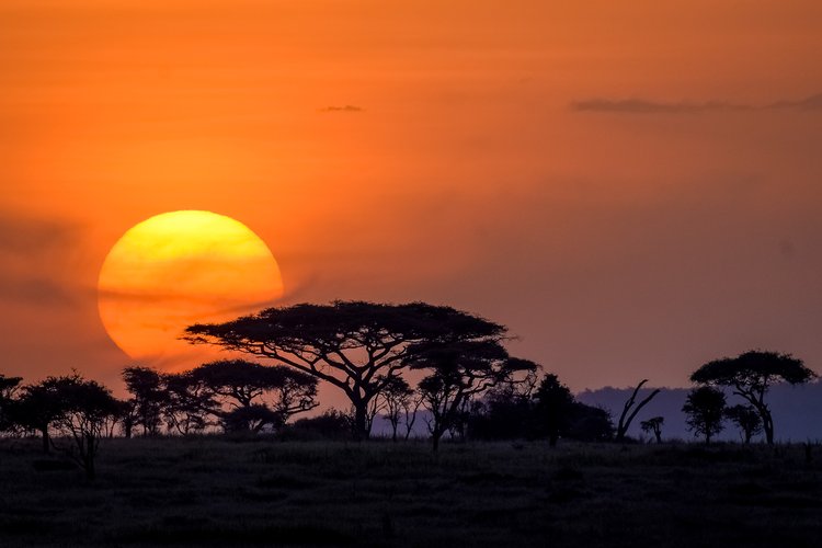 3 DAY SERENGETI AND NGORONGORO NATIONAL PARK