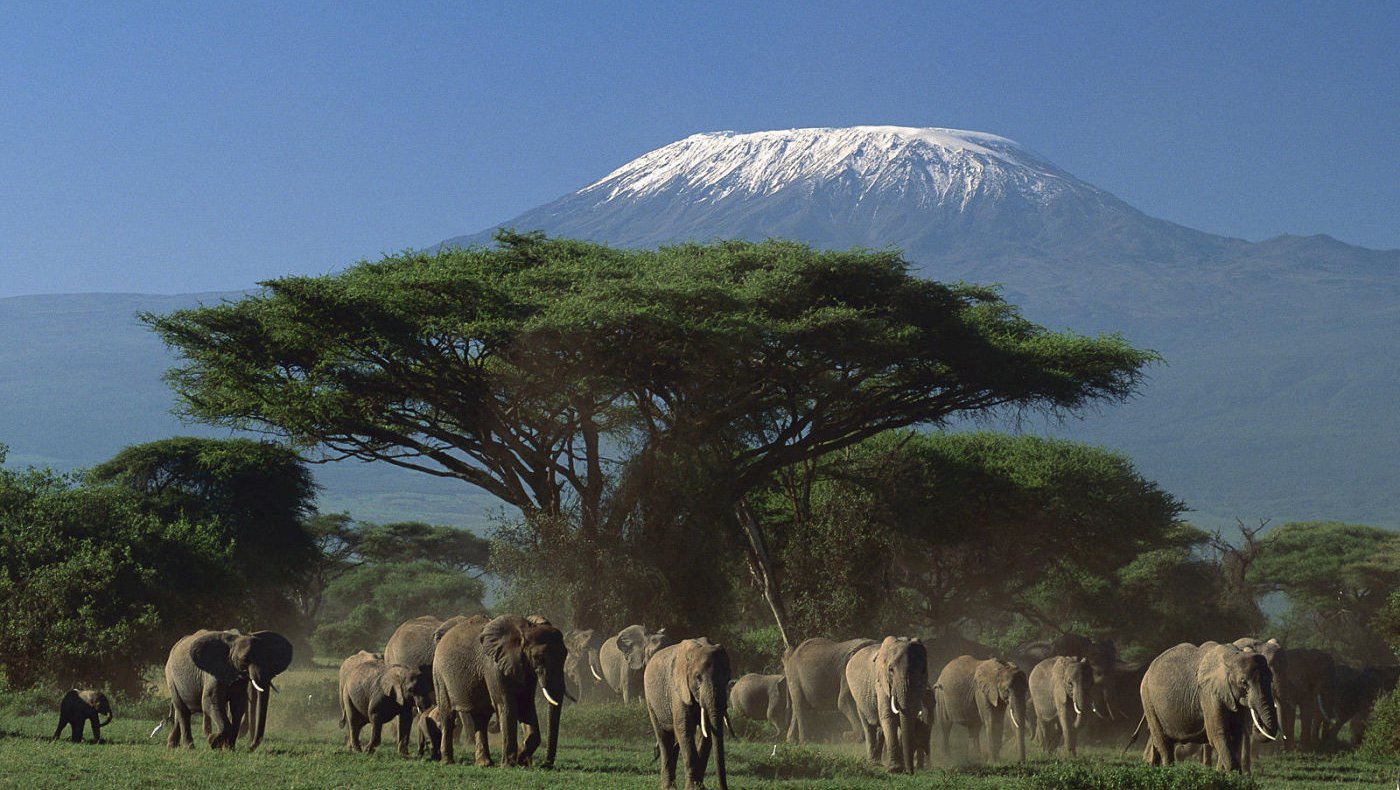 2 DAYS NAIROBI – AMBOSELI – KILIMANJARO