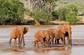 2 DAYS 1 NIGHT TSAVO EAST NATIONAL PARK