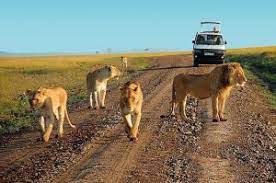 2 DAYS 1 NIGHT TSAVO EAST NATIONAL PARK