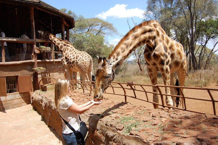 KAREN BLIXEN MUSEUM, KAZURI BEAD CENTRE & GIRAFFE CENTRE TOUR