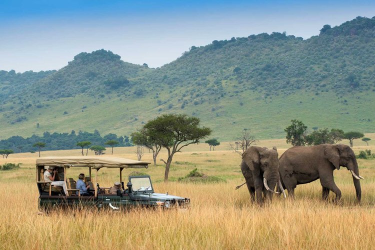 7 DAYS KENYA WILDLIFE AMAZING BUDGET SAFARI