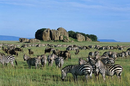 5 DAY TARANGIRE, NGORONGORO – SERENGETI (MID-RANGE) SAFARI