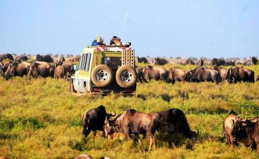 8 DAY SPECTACULAR MIGRATION AT SERENGETI NATIONAL PARK (MID-RANGE)