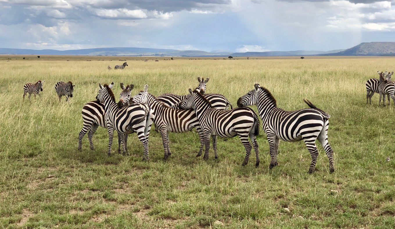 4 Day Camping Safari Tarangire – Ngorongoro and Serengeti